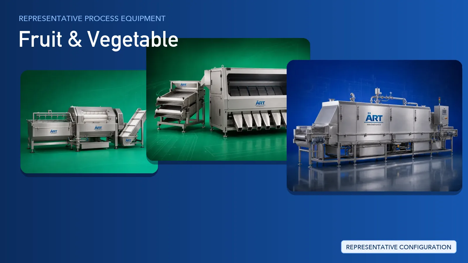 Representative Fruits Processing Plant & Machinery Solutions process equipment by ART Mechatronics